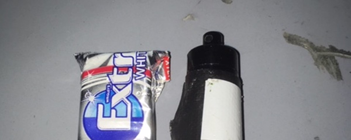 VMB0120 Guds frie natur_mikro cach.JPG