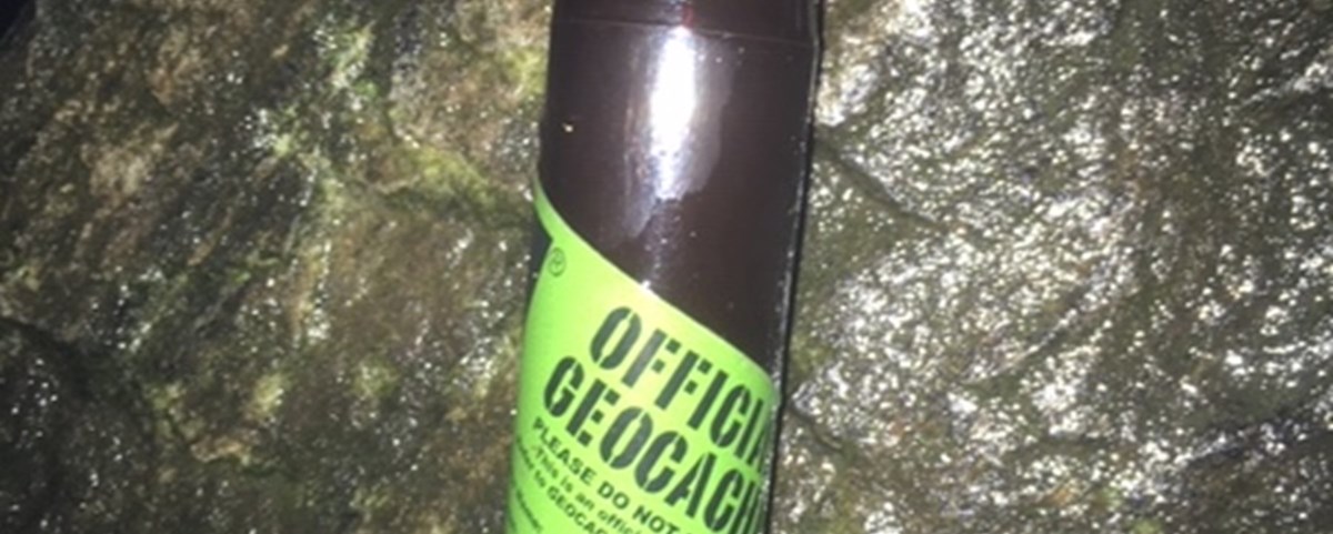 VMB0120 Guds frie natur_petrør.JPG