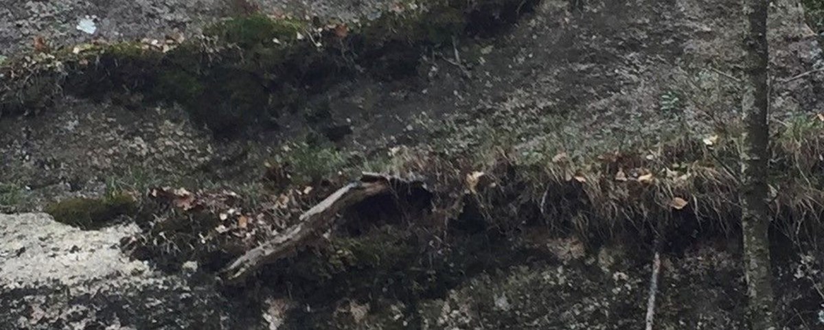 Herren er min hyrde.jpeg