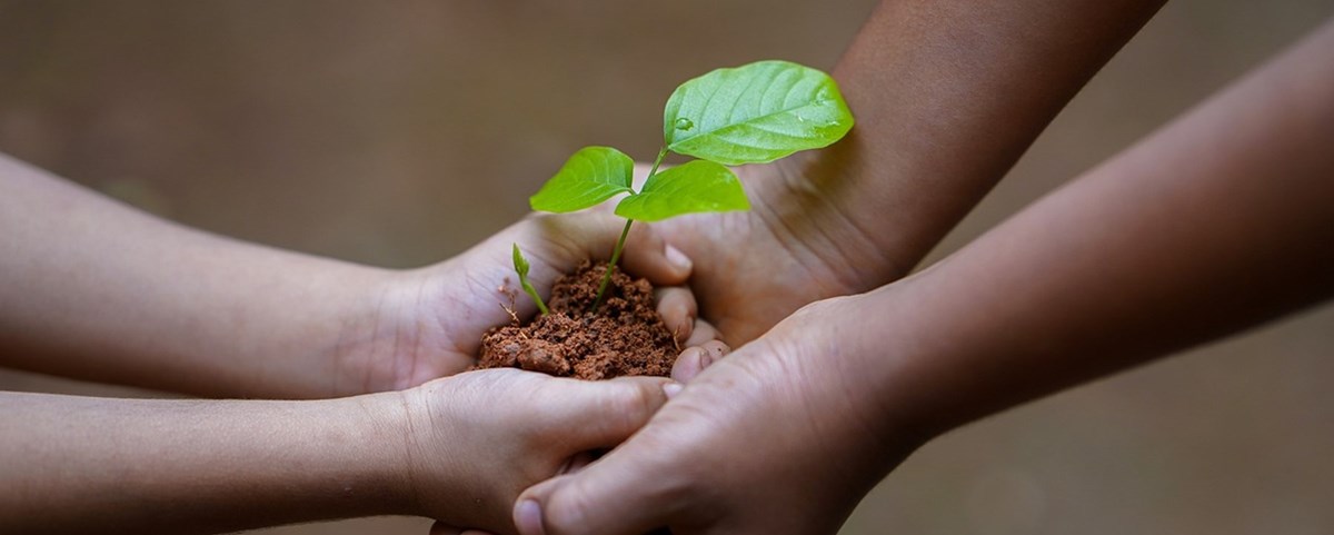 hands-5618240_1280.jpg
